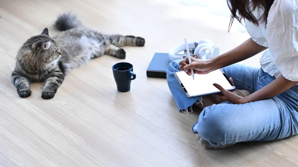 Fiatal Padlón Macskájával Dolgozik Digitális Tabletta Nappaliban Otthon — Stock Fotó