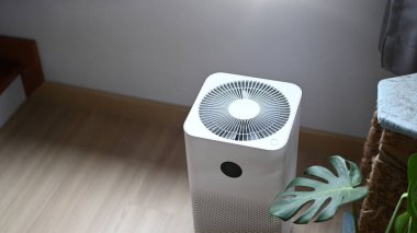 Konforlu oturma odasında, ahşap zeminde ev bitkisi olan hava temizleyicisi..