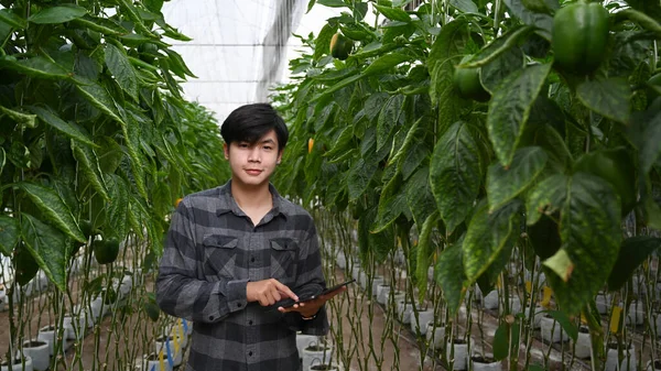 Jonge Aziatische Biologische Boer Met Behulp Van Een Digitaal Tablet — Stockfoto