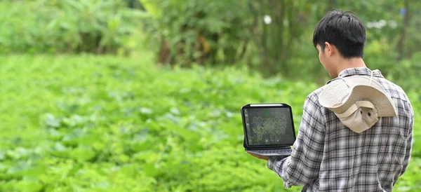 Een Jonge Boer Gebruikt Een Computer Laptop Terwijl Hij Tussen — Stockfoto