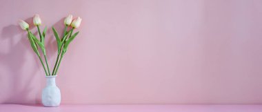 Pembe bir lale çiçeği buketi pembe bir oturma odasının önündeki masaya konuyor..