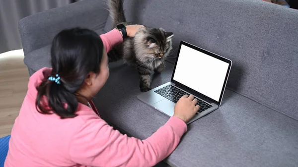 Obez Kadının Dizüstü Bilgisayarda Kullandığı Kedisiyle Evde Oturduğu Arka Plan — Stok fotoğraf