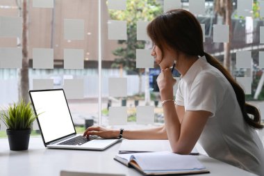 Modern işyerinde otururken dizüstü bilgisayarla çalışan kadın girişimcilerin yan görünüşü.