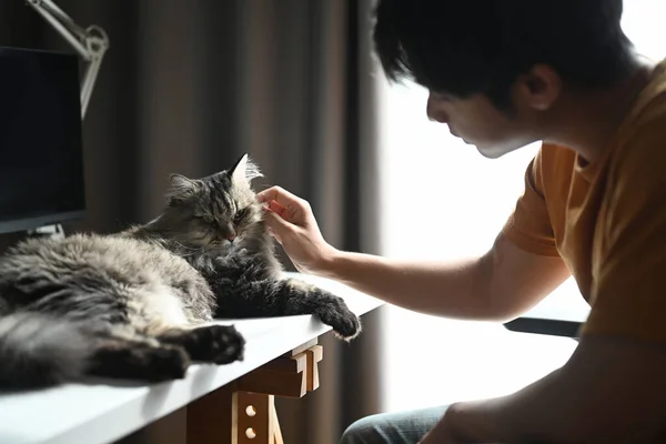 Jeune Asiatique Homme Jouer Avec Son Mignon Chat Maison — Photo