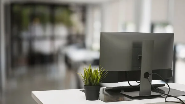 現代オフィスの白い机の上のコンピュータPcと家庭用植物 — ストック写真
