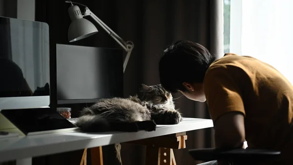 Genç Asyalı Adam Kedisiyle Oturma Odasında Oynuyor — Stok fotoğraf