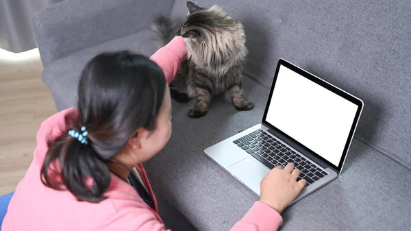 Obese Woman Using Laptop Sofa Caressing Her Lovely Cat —  Fotos de Stock