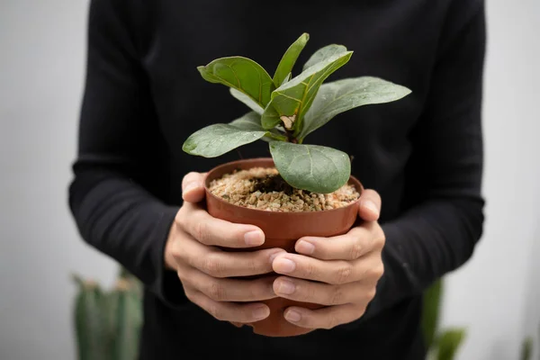 Man Gardening Holding Potted Plant — Stock Photo, Image