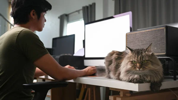 Jeune Homme Pigiste Travaillant Avec Ordinateur Assis Avec Son Chat — Photo