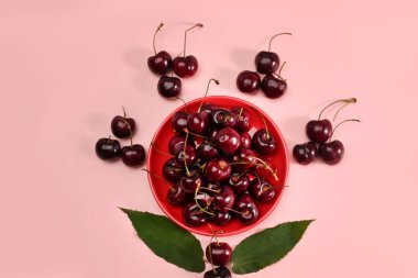 Pembe arka planda yaprakları ve sapları olan olgun kiraz yığınları..