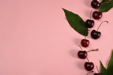 Pembe arka planda saplı taze kirazlar. Boşluğu kopyala.