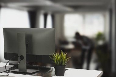 Oturma odasındaki beyaz masaya bilgisayar ve bitki yerleştirin..