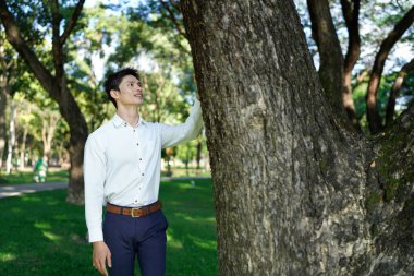 Çevre kavramının korunması, ofis çalışanı parktaki ağaca dokunur..
