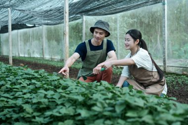 Tecrübeli bir yetiştirici gölgeli bir seranın içinde genç bir kıza çiftçilik öğretiyor..