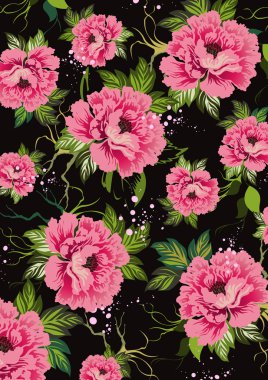 Çiçek doku, arka plan, tazelik, lezzet, gül ve yapraklarda siyah bir arka plan zıt