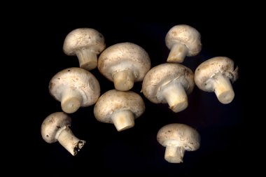 Siyah bir arka plan üzerinde mantar petrol                                              