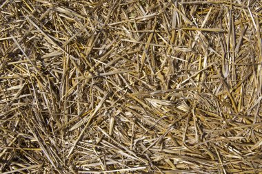 Arka plan saman yakın çekim kaynaklanıyor                                                             