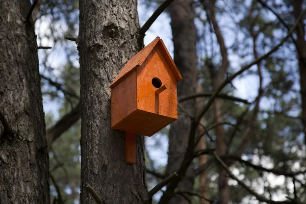 Birdhouse arancione in un albero — Foto Stock