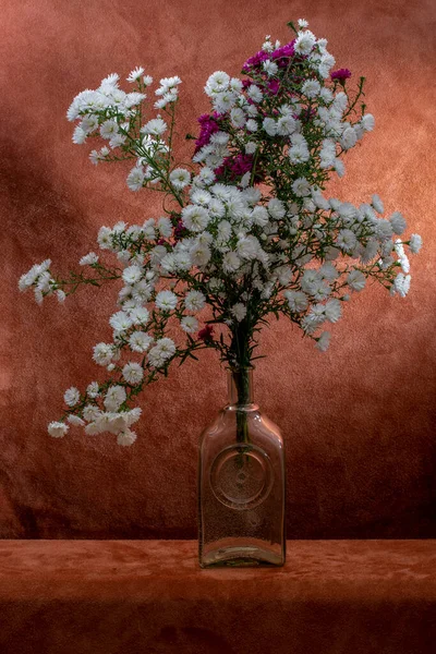 茶色の背景にガラスの花瓶に秋の星の花束 — ストック写真