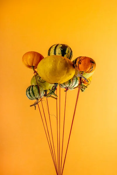 Diverses Citrouilles Décoratives Sont Accrochées Une Corde — Photo