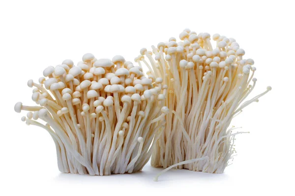 Beyaz Arkaplanda Yenilebilir Enokitake Mantarı Hasat Et