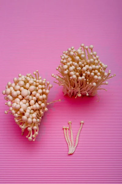 Oogst Eetbare Enokitake Paddestoel Roze Achtergrond — Stockfoto