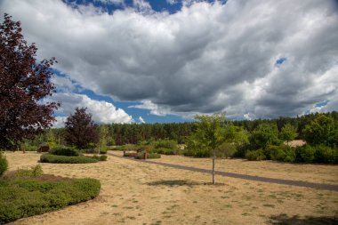 Güneşli bir yaz gününde orman ve ağaçlarla dolu kırsal alan.