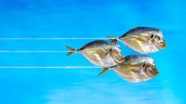 Tütsülenmiş üç deniz balığı Bencilce bir ip üzerinde yakın plan