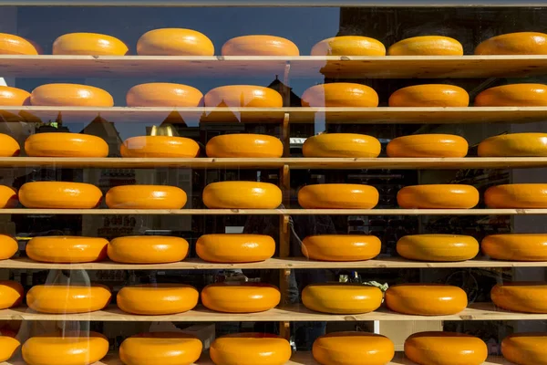 Mağaza Vitrinindeki Raflarda Meşhur Hollanda Peyniri — Stok fotoğraf