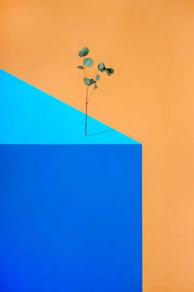Geometrisch Stilleven Met Een Tak Van Een Plant Een Figuur — Stockfoto