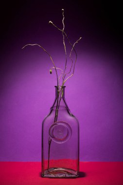 Bir cam şişe ve gelincik dallarıyla sakin bir hayat.