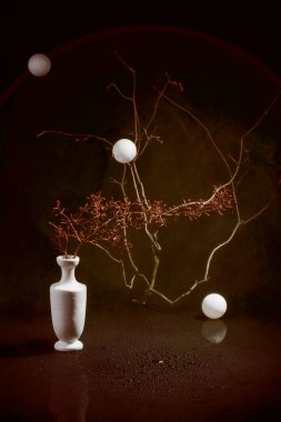 Beyaz vazoda bir bitki dalı ve siyah arka planda beyaz topları olan bir yaşam.