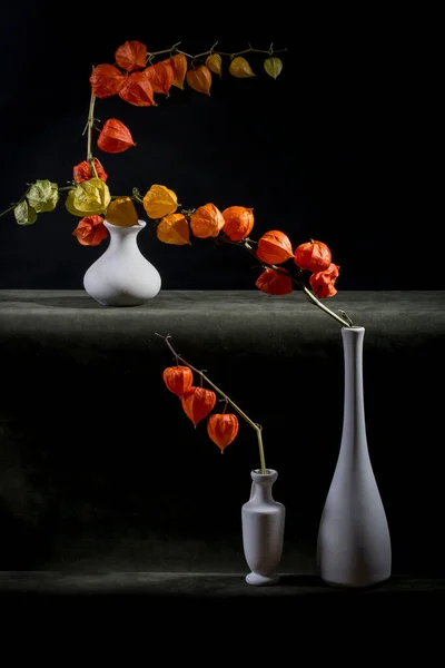 Nature Morte Avec Une Branche Physalis Dans Des Vases Blancs — Photo