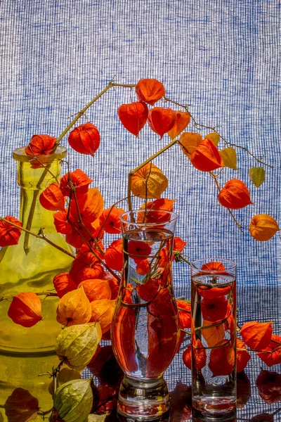 Still Life Yellow Vase Glass Water Branch Physalis — Stock Photo, Image