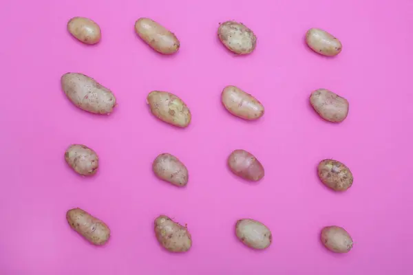 Свежий Картофель Расставленный Рядами Розовом Фоне — стоковое фото