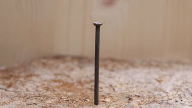 ahşap güverte dövülmüş bir çivi sürüş