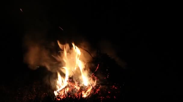 Fading fire of dry branches — Stock Video