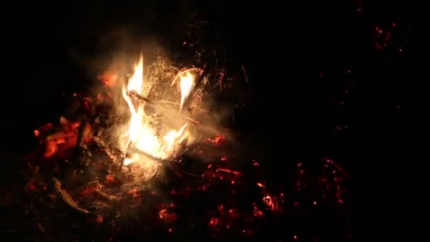 Fading fire of dry branches — Stock Video