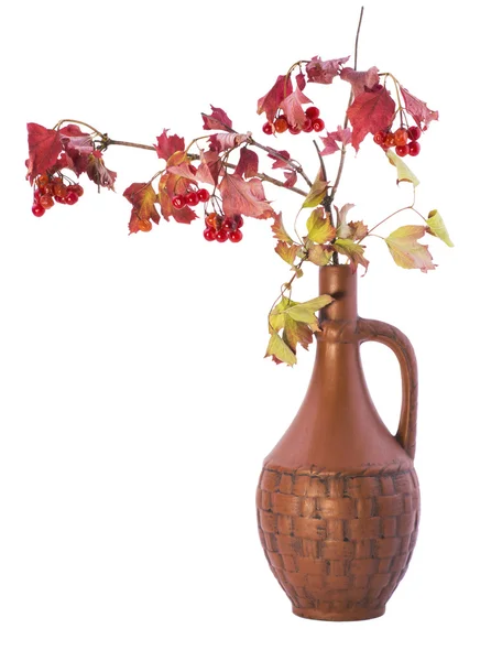 Red viburnum branch in a carafe — Stock Photo, Image