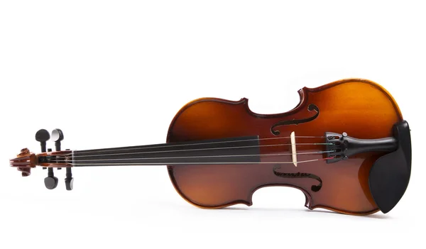 Violino sobre um fundo branco — Fotografia de Stock