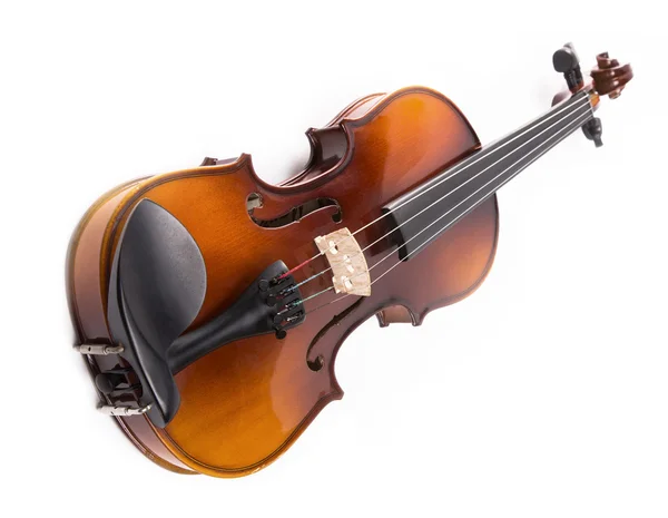 Violino sobre um fundo branco — Fotografia de Stock