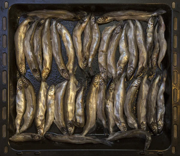 Frying pan with capelin before frying