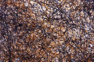 İç içe konu çoğulluğu soyut resim