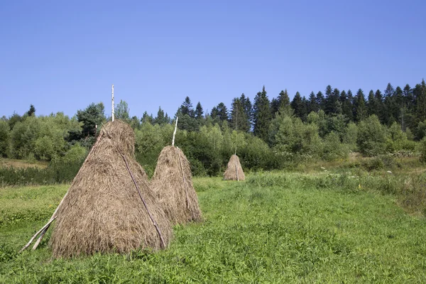 Landelijke landschap in de regio van de Karpaten — Stockfoto