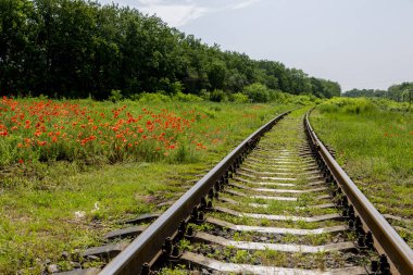 Demiryolu hattının bir parçası.