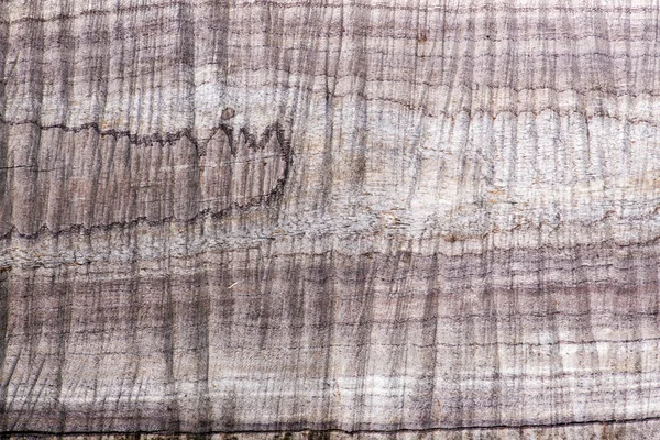 La textura de madera cortada tablero de albaricoque — Foto de Stock