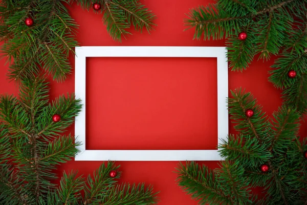 Kırmızı arka planda çerçeveli Noel ağacı dallarından yapılmış yaratıcı bir düzen. Düz yatıyordu. Doğa Yeni Yıl Konsepti