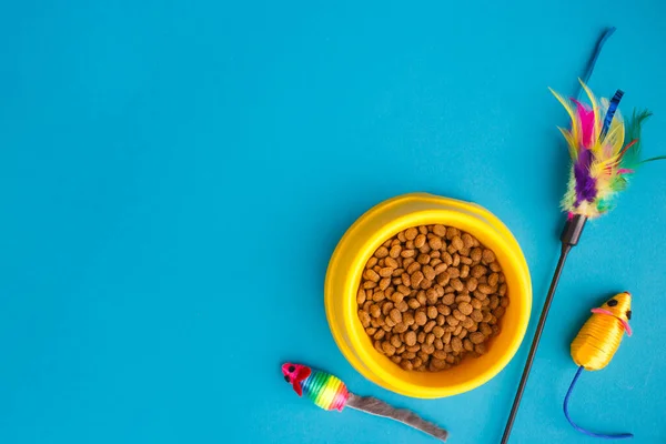 Mavi arka plandaki kedi için aksesuar seti. Sarı kase, fare, oyuncak. İlgi dolu bir kavram. Kedi geçmişi. Üst manzara, düz uzanma