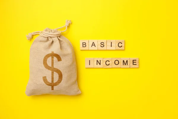 Basic income written on wood blocks with bag with money on yellow background. Back to basics fundamental principles concept