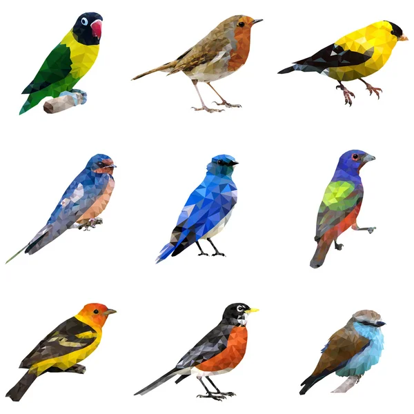 Diversi tipi di uccelli — Vettoriale Stock